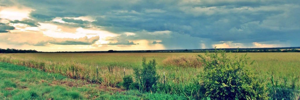 texas-616698_1280